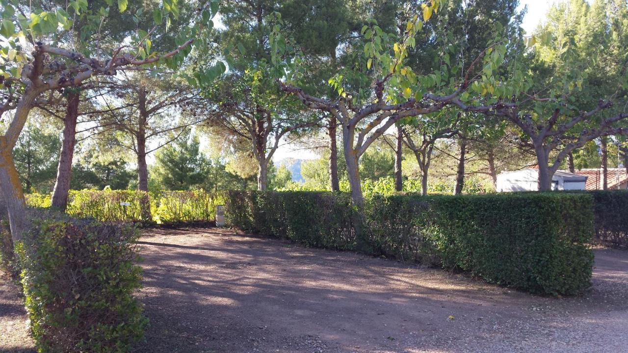Montsant Park Camping & Bungalow Ulldemolins Buitenkant foto