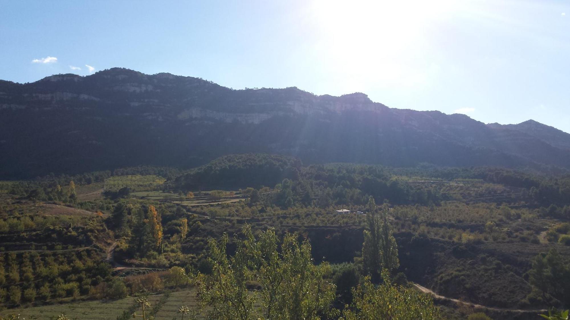 Montsant Park Camping & Bungalow Ulldemolins Buitenkant foto