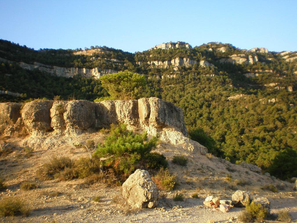 Montsant Park Camping & Bungalow Hotel Ulldemolins Buitenkant foto