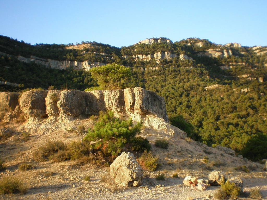 Montsant Park Camping & Bungalow Ulldemolins Buitenkant foto