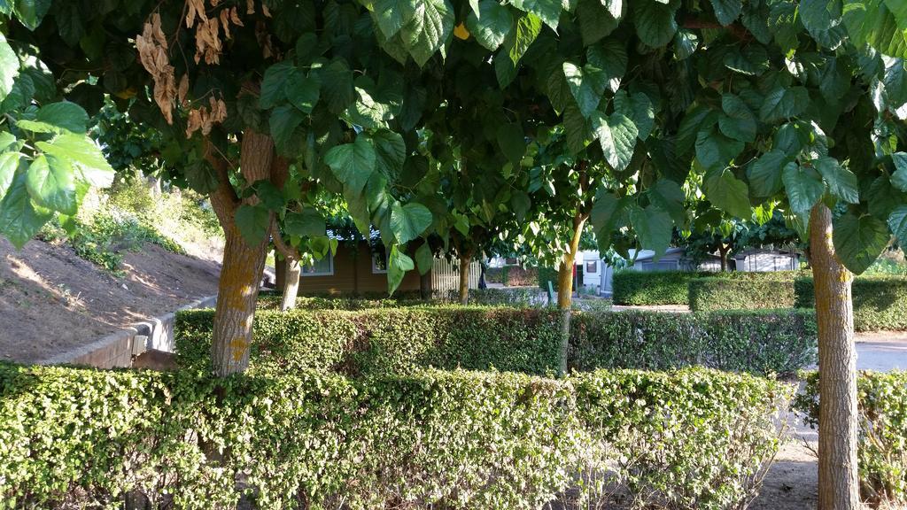 Montsant Park Camping & Bungalow Ulldemolins Buitenkant foto